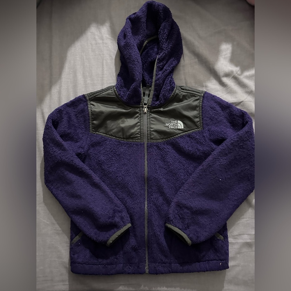 The north face purple jacket